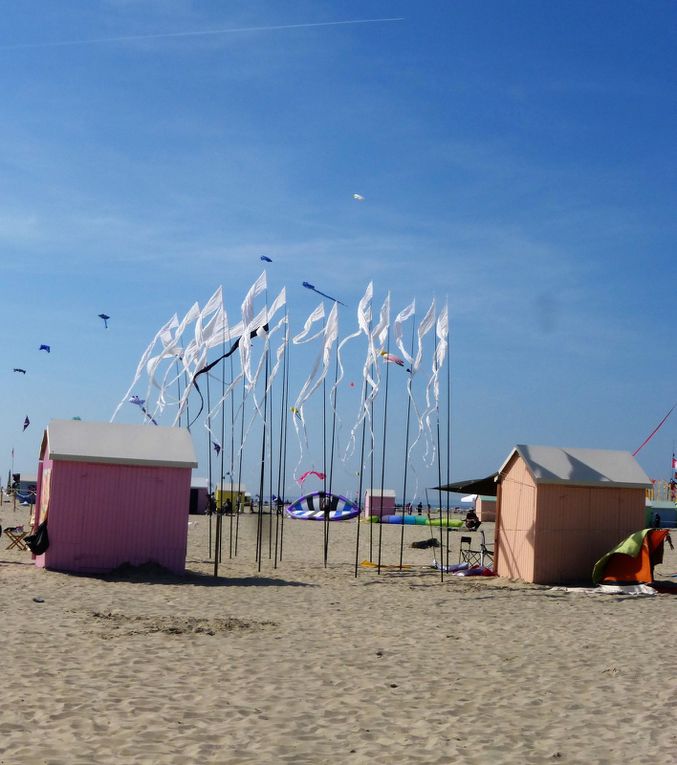 les cerfs volant de Berck