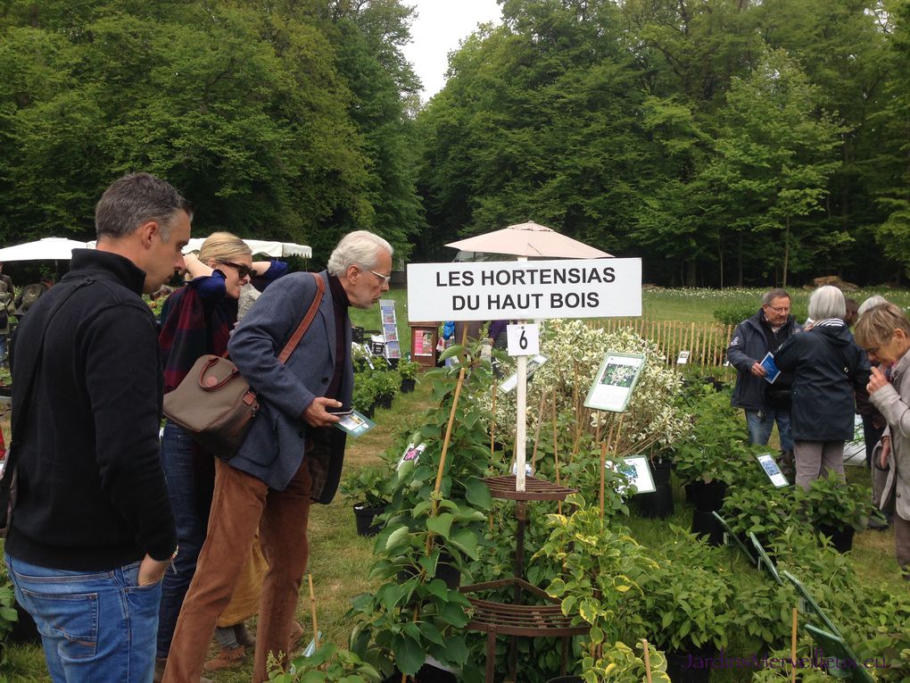 Stand "Les Hortensias du Haut Bois" - 2 photos