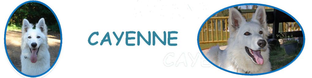 Album - Cayenne