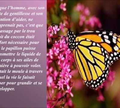 La morale du papillon