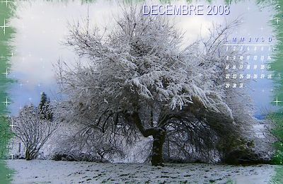 Fond calendrier décembre