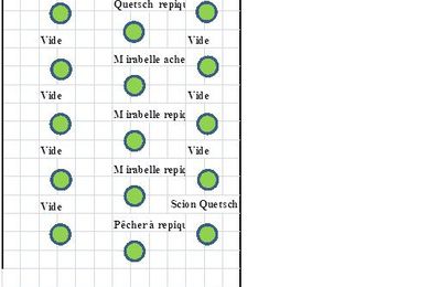 Plan du nouveau verger de la Croix St Jacques