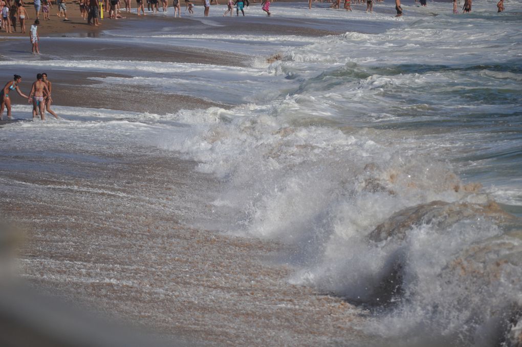 Album - BATZ-SUR-MER