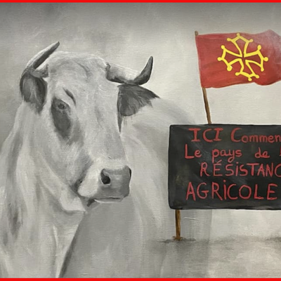 El Partido de la Nación Occitana apoya la lucha de los agricultores