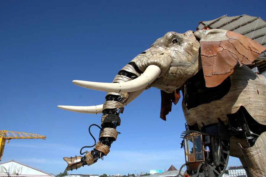 Eléphant de l'Ile de Nantes Royal de Luxe - Photos Thierry Weber Photographe La Baule Guérande