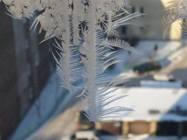 Neige, gel, froid mais soleil d'hiver en Pologne...