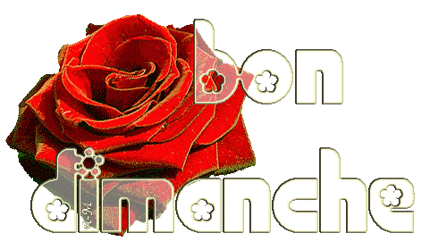 Bon Dimanche La Cuisine De Josette