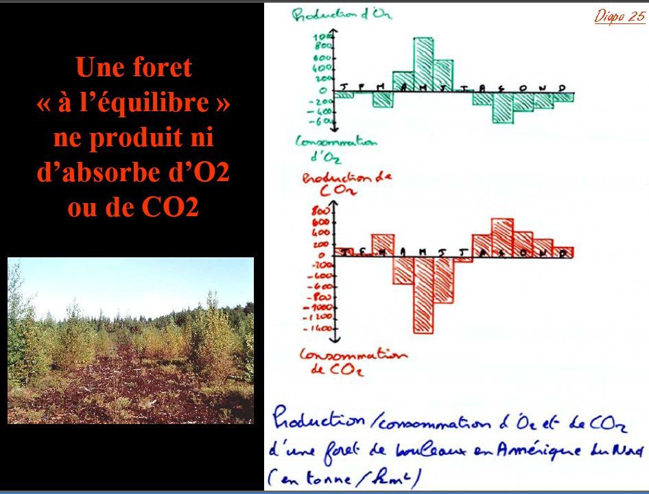 Les variations climatiques