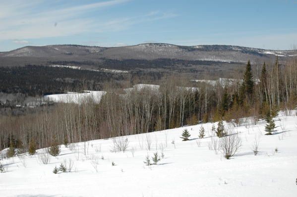 Ma première virée en skidoo ! trop fun !!!!