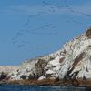 Des îles au désert