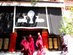 年轻人Young tibetan monks