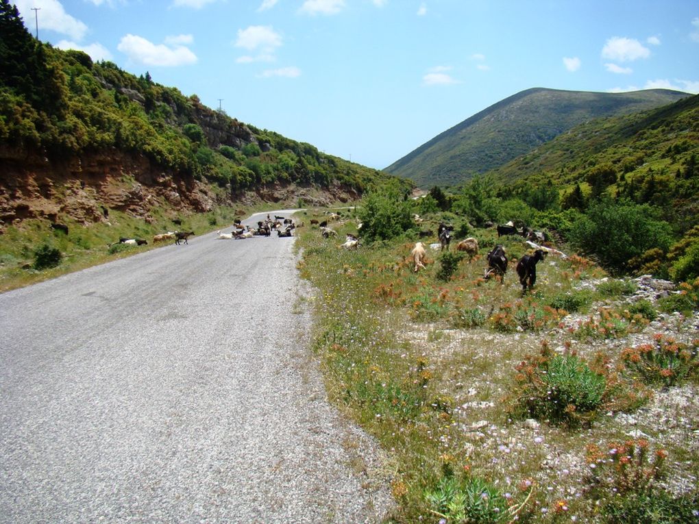 Album - Grece---2