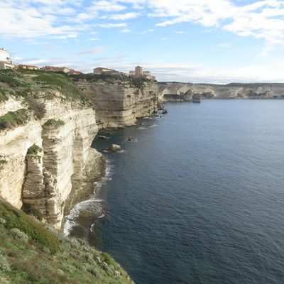 Bonifacio 