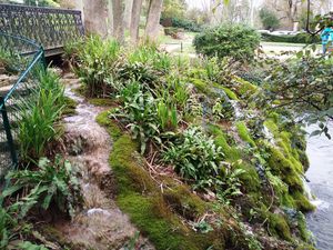 Le Bois des Bruyères au départ de Villennes-sur-Seine