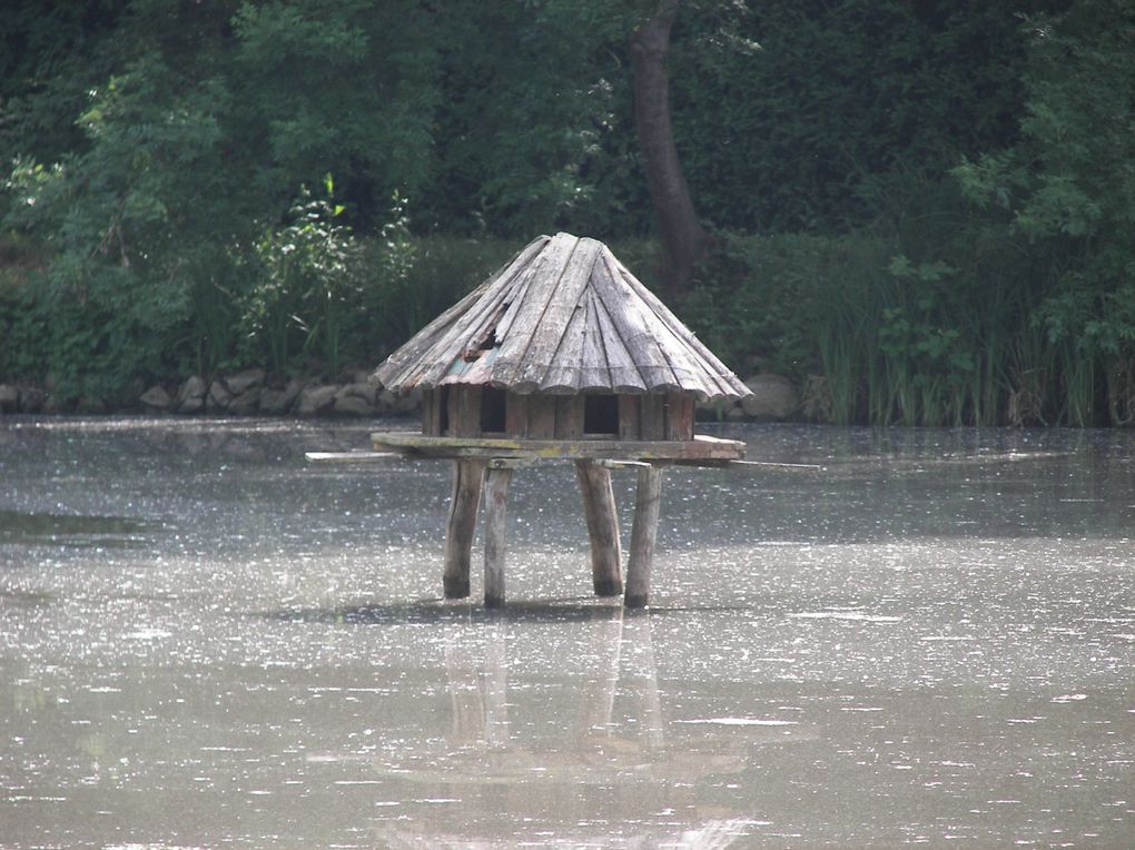 Album - Taize-mai-2011