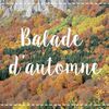 L'air et la chanson de l'automne chez les Ch'tis ( N° 1474 )