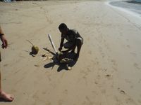 Madagascar : plage du Nord
