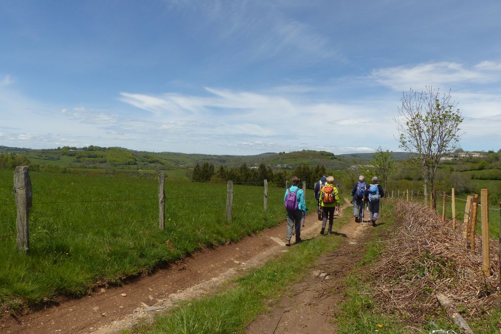 Magnifique point de vue à Lasbros sur la vallée de Menepeyre. Sur le parcours,  même les vaches étaient étonnées de revoir des marcheurs...