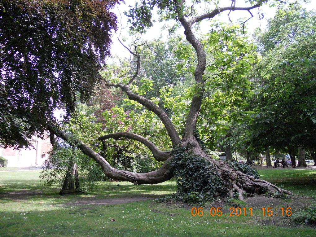 Album - JARDIN-DU-LUXEMBOURG