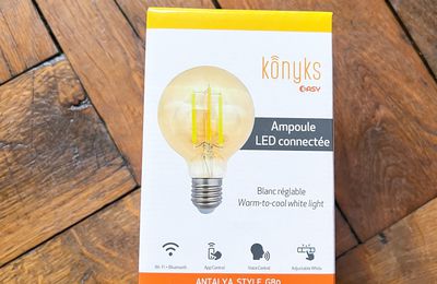  L’Ampoule LED Wi-Fi Globe Konyks Antalya Style G80