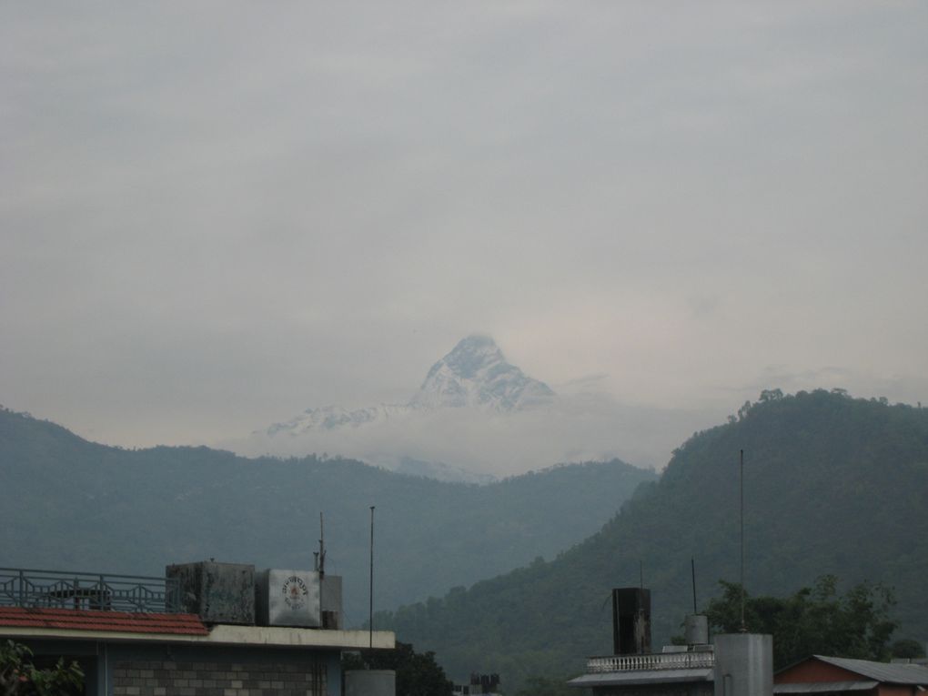 Album - Nepal--Pokhara