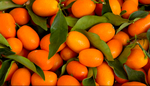 confiture de Kumquats
