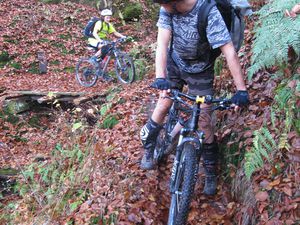 On roule aussi, et il y a de très beaux singles dans ce coin des Vosges du Nord.