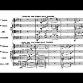 Eugène Ysaÿe - "Harmonies du soir" for string quartet and orchestra (audio + sheet music)