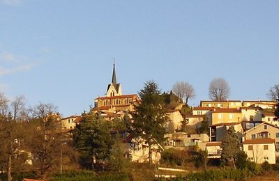 Petite sortie dans la Plaine du Forez