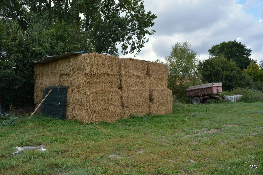 La Ferme du Tertre à Villers-au-Tertre - Photos : 10 septembre 2021.