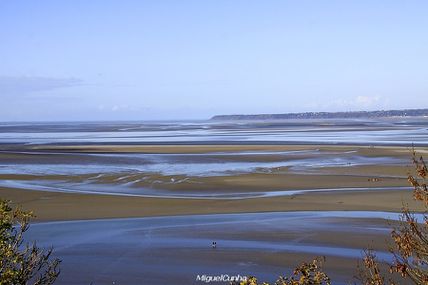 Marée basse