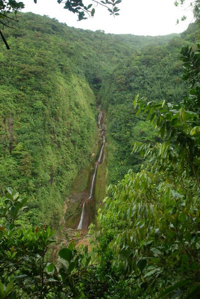 Album - guadeloupe