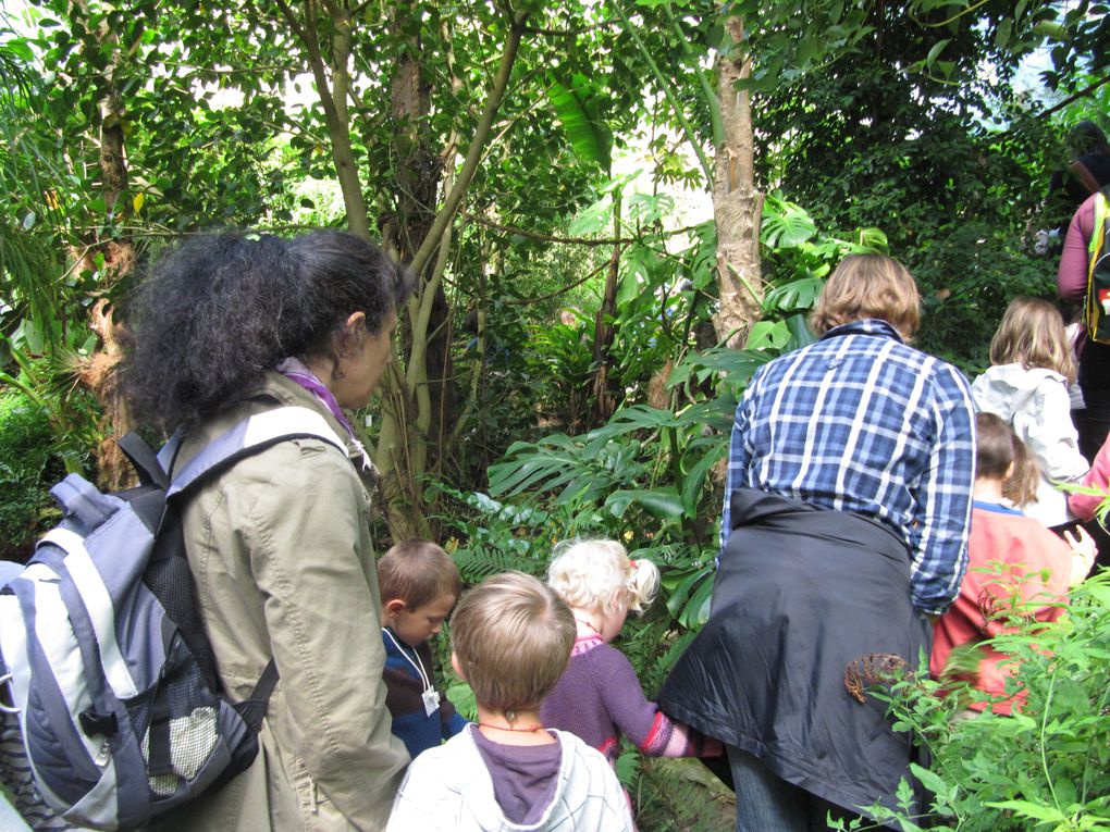 Album - Sortie-des-maternelles-au-Jardin-des-Olfacties