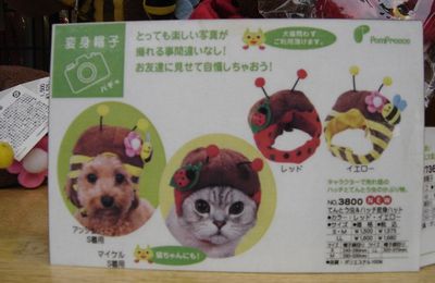 Nos amis les animaux (Kyoto et Tokyo)