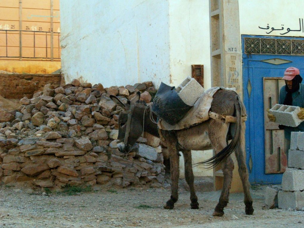 Agadir, Tan-tan, Tafraoute.