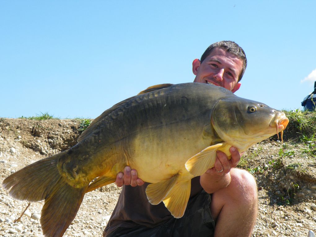 dans cet album vous trouverez toutes nos prise de carpes et de silures