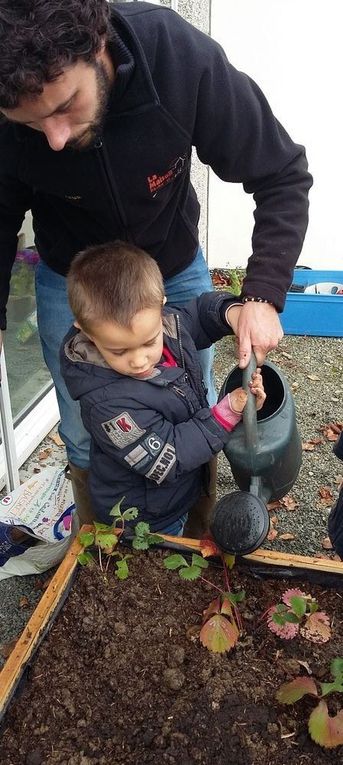 Nous avons arrosé nos plants.