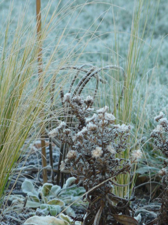 Album - Jardin