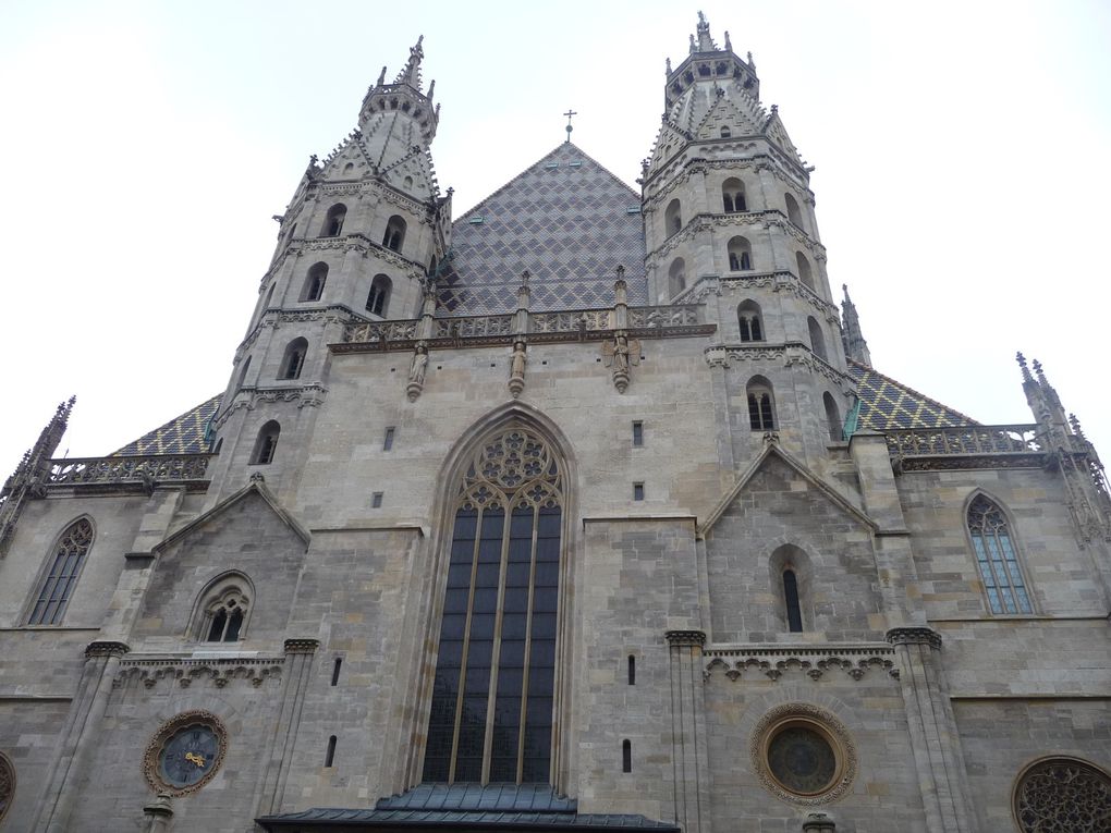 La cathédrale St Stèphan.