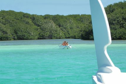 L’île des oiseaux