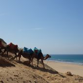 plage - Le blog de Bernard Moutin