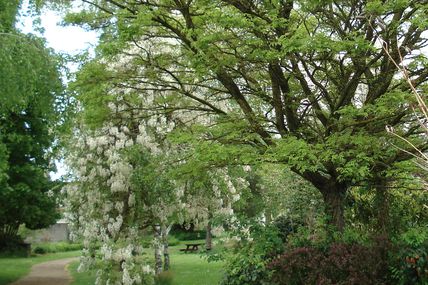 Dis, c’est pour quand le soleil? - Le lilas a...