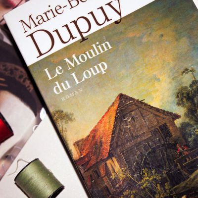 Le Moulin du Loup, de Marie-Bernadette DUPUY
