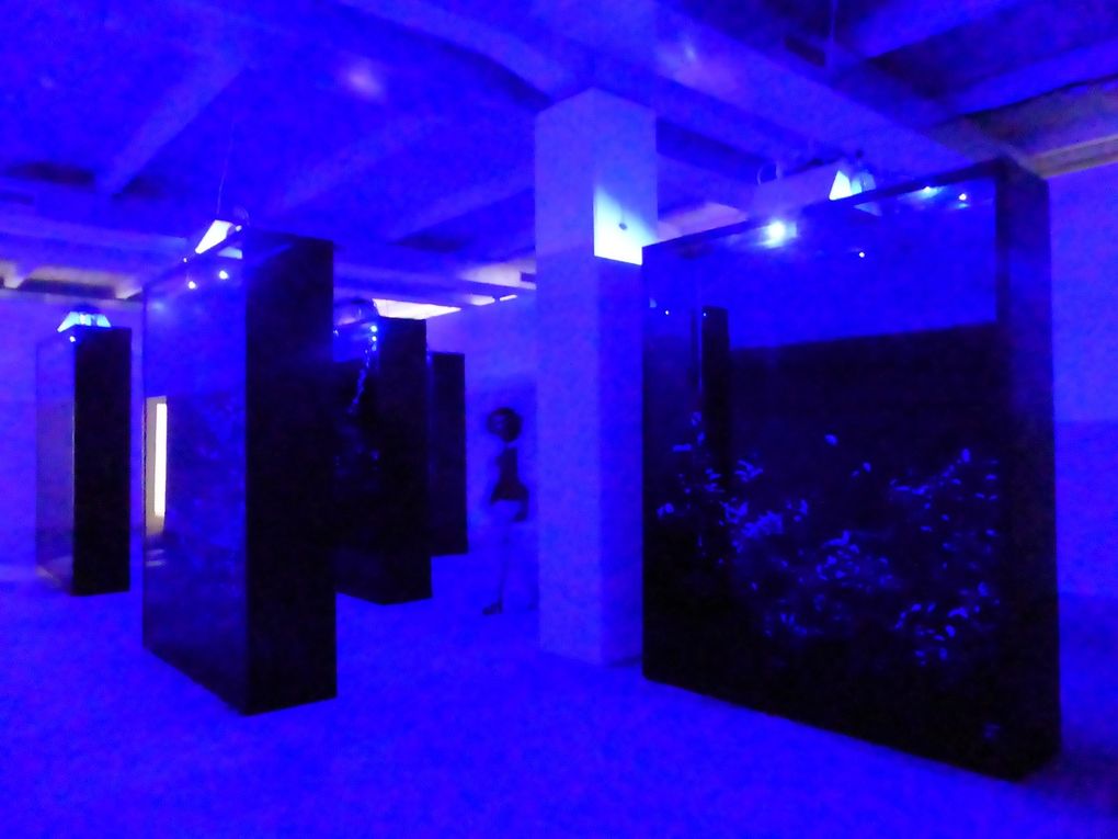 Vues de l'exposition La vie moderne. Biennale de Lyon, La Sucrière © Le Curieux des arts Gilles Kraemer, présentation presse, septembre 2015