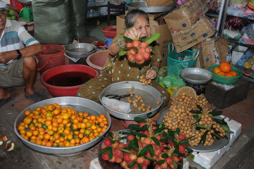 vietnam  Janvier 2011