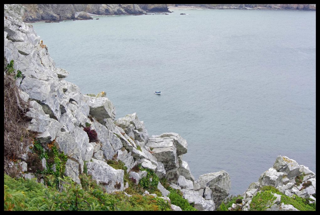 Album - camaret