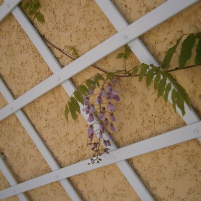 Construction Maison Valencin Nord Isère - Maisons GEM