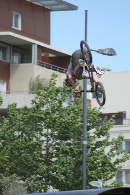 Album - FISE-2013