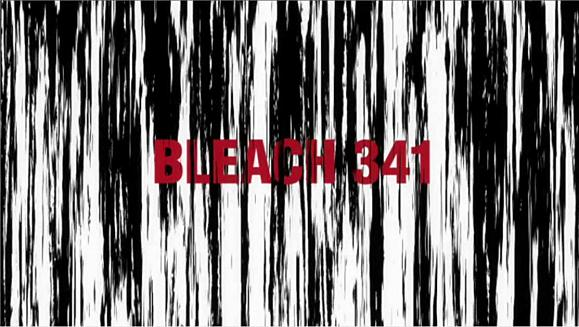 Album - Bleach
