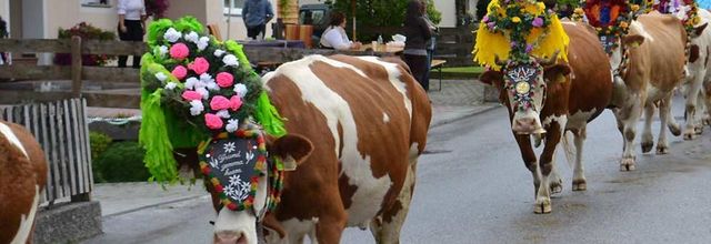 Divers - Transumance - 2
